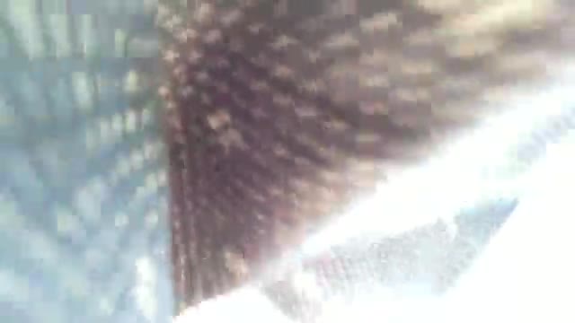 desi outdoor group porn videos
