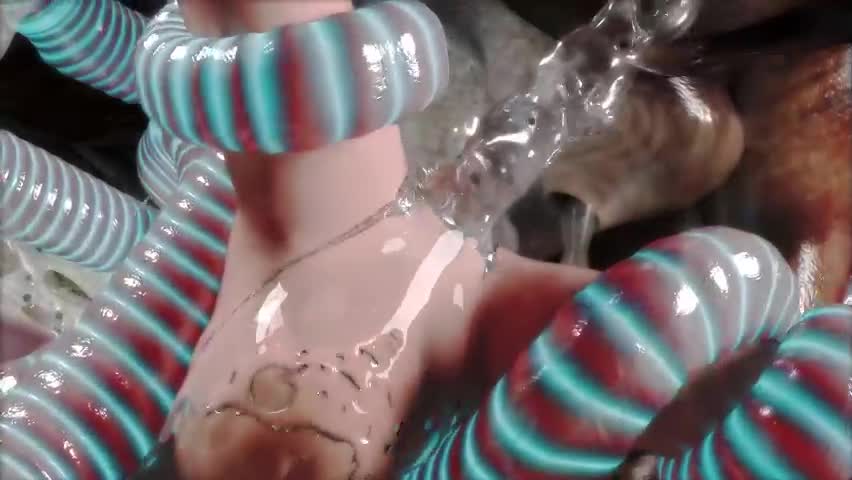 anal tenticles