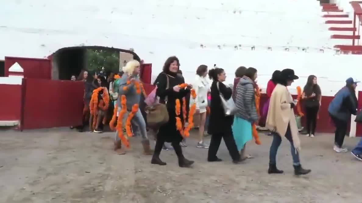 videos of naked hairy women